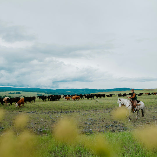 FAMILY RANCHERS