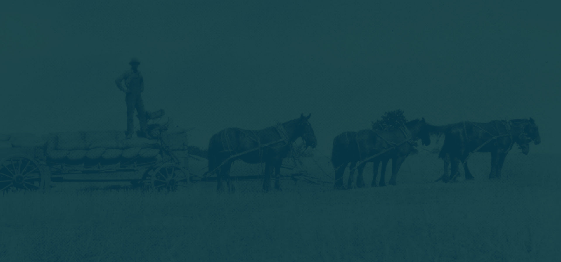 Silhouette of a horse-drawn carriage with horses on a dark background