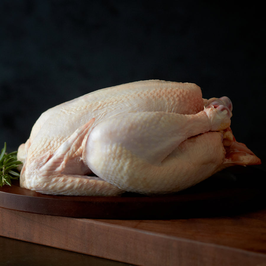 Pastured Chicken